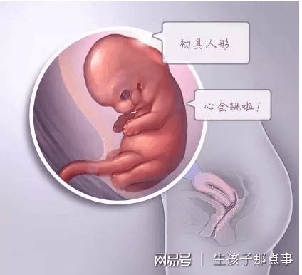 男性不育案例